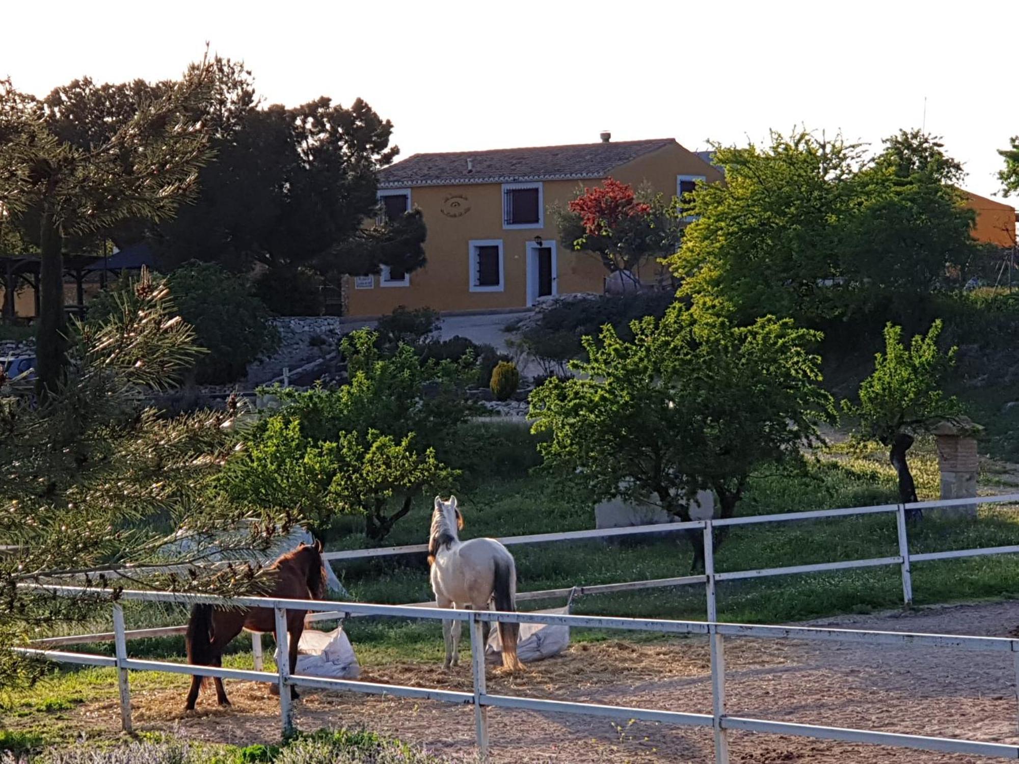 Complejo Rural Las Lomas De Biar Buitenkant foto